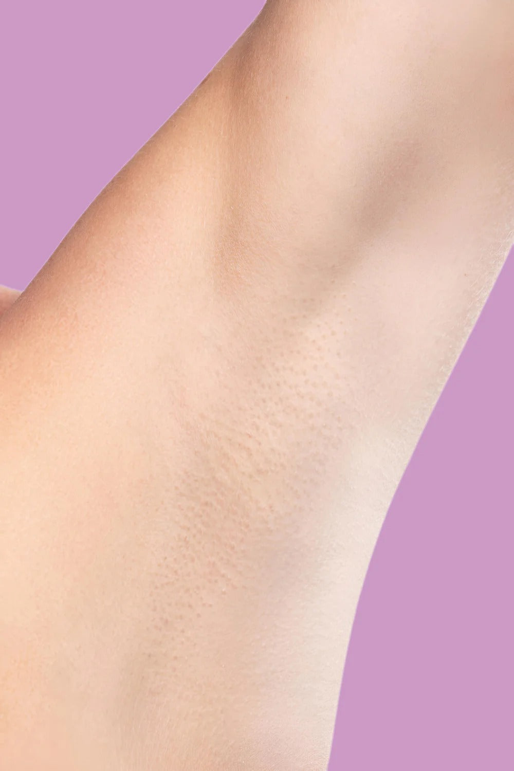 banner_image